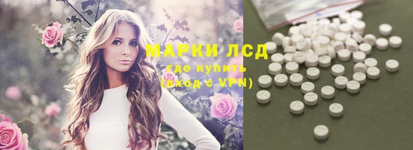 гидра Краснослободск