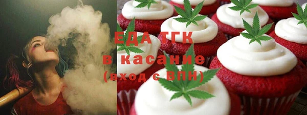 гидра Краснослободск