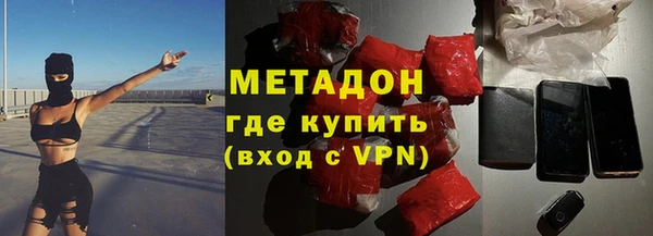 прущие грибы Коряжма
