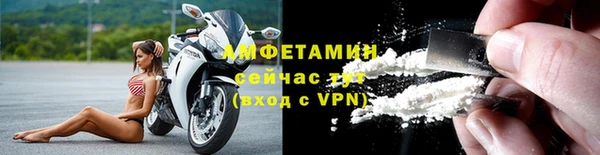 гидра Краснослободск