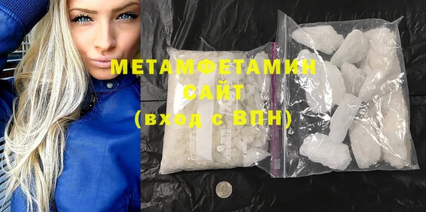 прущие грибы Коряжма
