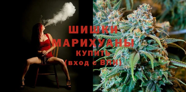 прущие грибы Костерёво