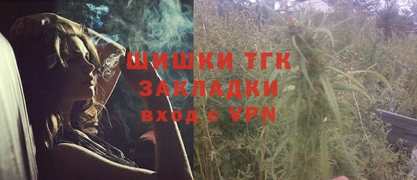 прущие грибы Коряжма