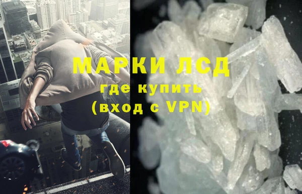 прущие грибы Костерёво
