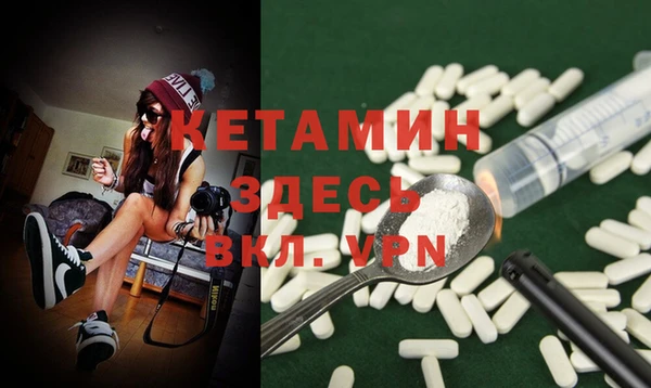 прущие грибы Коряжма