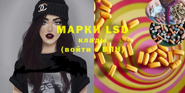 прущие грибы Коряжма