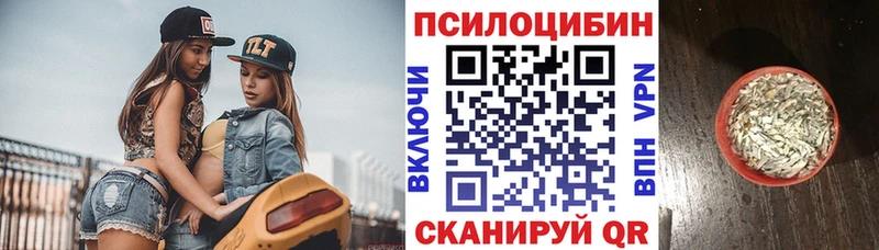 Галлюциногенные грибы Psilocybine cubensis  Купить  Афипский 